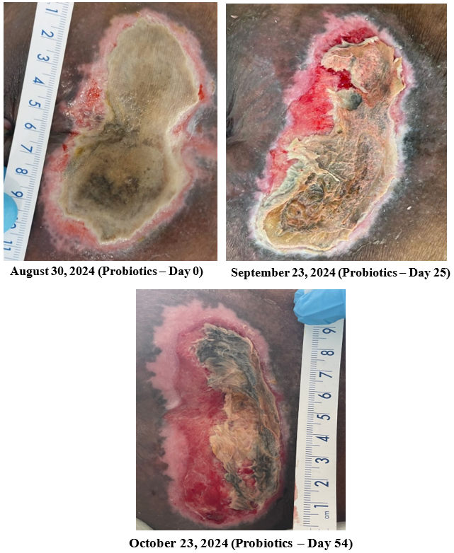 Figure 8